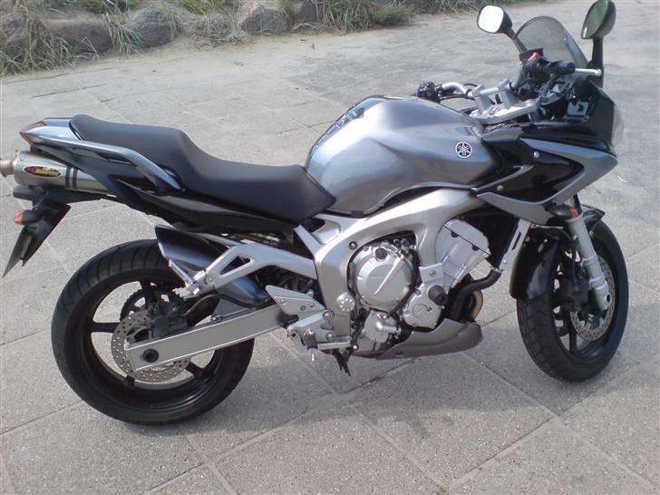 Yamaha FZ6-s billede 9