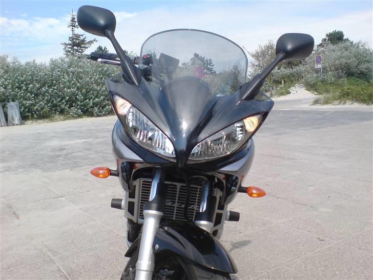 Yamaha FZ6-s billede 14