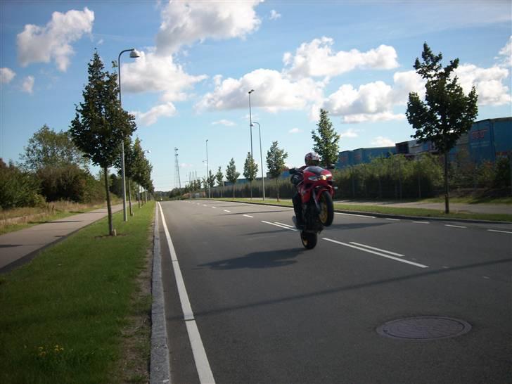 Suzuki TL 1000 S  - Altid klar på en wheelie... billede 7