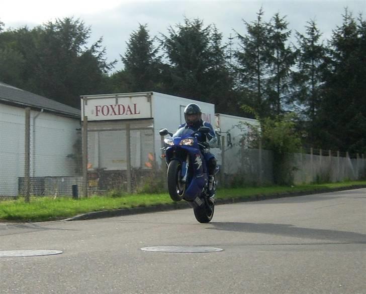 Yamaha R1 billede 10