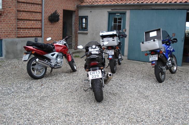 Yamaha SZR 660 -  solgt :( billede 3