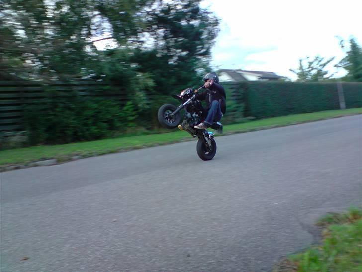 Shineray solgt billede 3