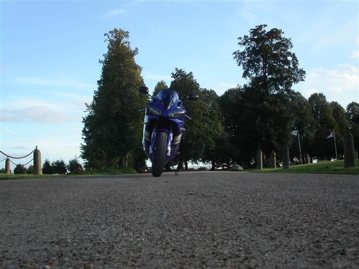 Yamaha YZF-R1 billede 8