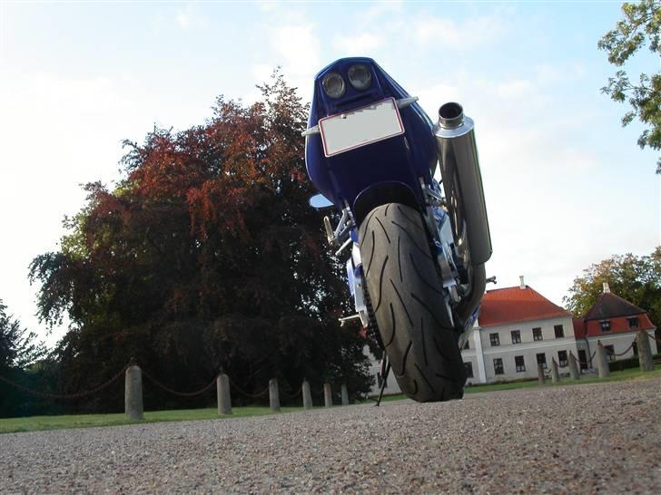 Yamaha YZF-R1 billede 12