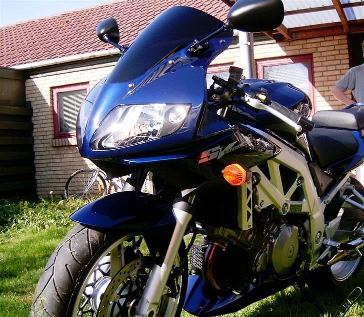 Suzuki Sv 1000 S billede 1