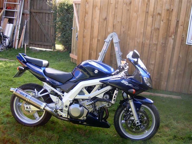 Suzuki Sv 1000 S billede 4