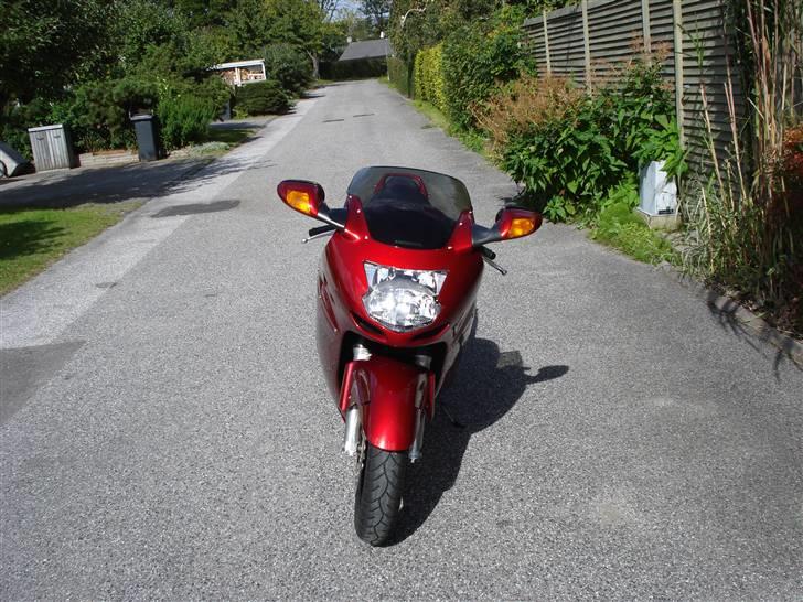 Honda CBR 1100 xx Solgt 2008 billede 5