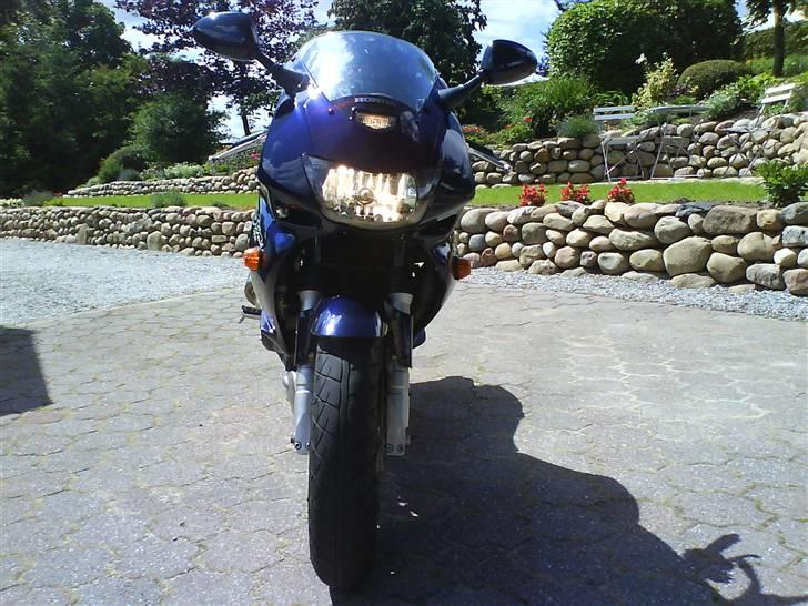 Honda VTR 1000 Firestorm billede 13