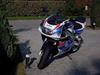 Suzuki GSXR (Fr.berg)
