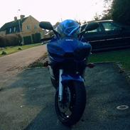 Yamaha YZF R6