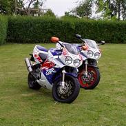 Honda cbr 900 fireblade