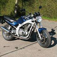 Suzuki  GS500E