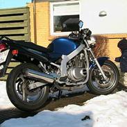 Suzuki GS500E