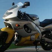 Yamaha YZF600RThundercat (SOLGT)