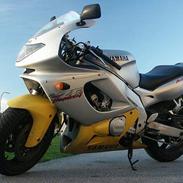 Yamaha YZF600RThundercat (SOLGT)