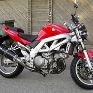 Suzuki SV1000