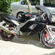 Yamaha FZR 1000 EXUP