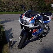 Suzuki GSXR (Fr.berg)