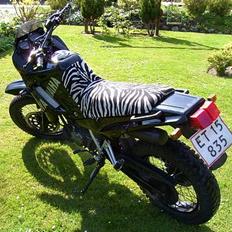 Yamaha TDR 125 (SOLGT)
