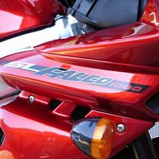 Aprilia Falco (død og genopstået)