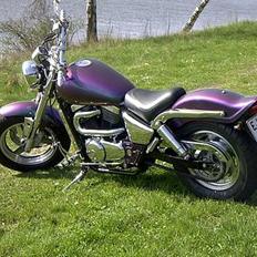 Suzuki VZ 800 Marauder SOLGT