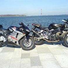 Aprilia SL1000 Falco (Solgt)