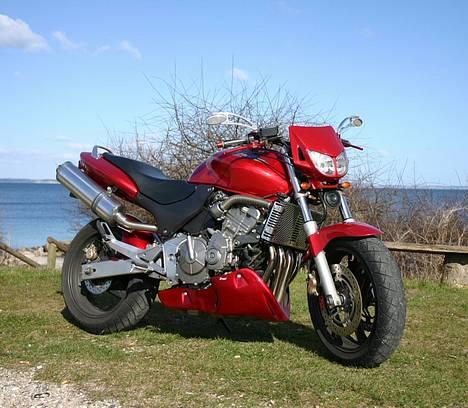 Honda hornet 600 -- *SOLGT* - Billederne med godt vejr er taget af Bjarke R. ude ved moesgård strand... Og tak for det! billede 1