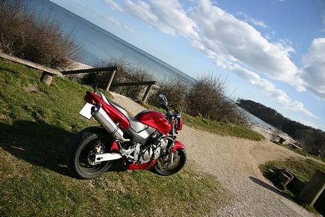 Honda hornet 600 -- *SOLGT* billede 6