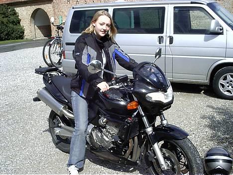 Honda hornet billede 1