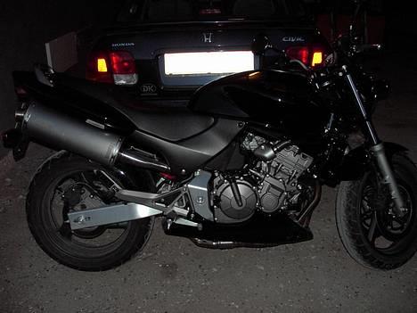 Honda hornet billede 2