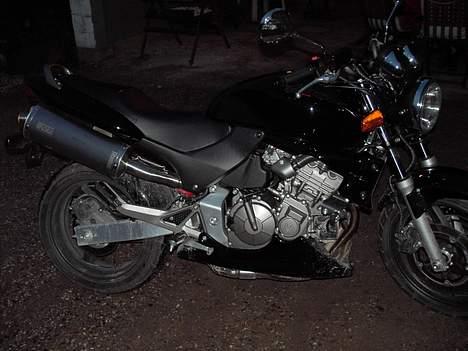 Honda hornet billede 3