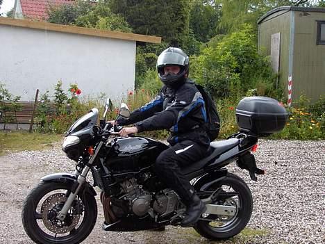 Honda hornet billede 4