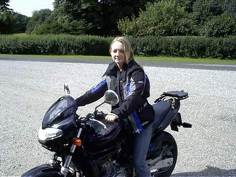 Honda hornet billede 5