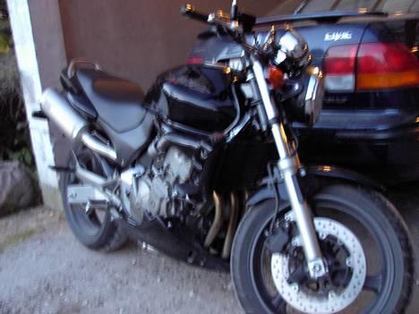 Honda hornet billede 6