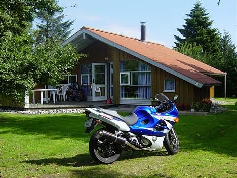 Suzuki Gsx 600 F  solgt - En tur i sommerhus billede 1