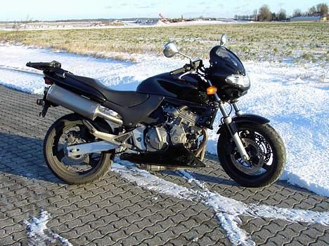 Honda hornet billede 9
