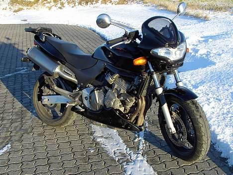 Honda hornet billede 10