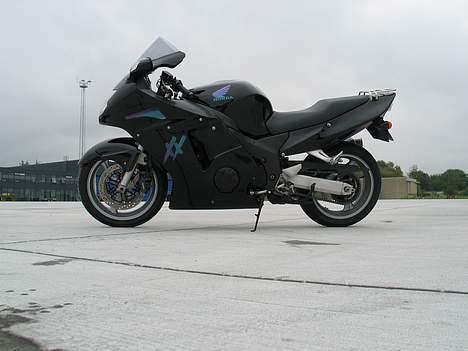 Honda Blackbird billede 1