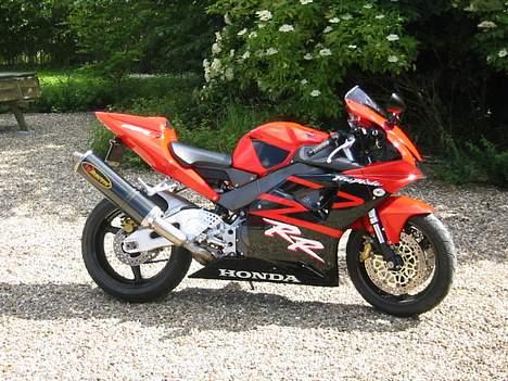 Honda Fireblade billede 2