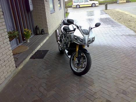 Suzuki sv1000s[Öhlins] - så er vi ved at være klar. med komplet öhlins affjedring billede 1