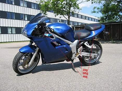 Suzuki SV650 billede 3