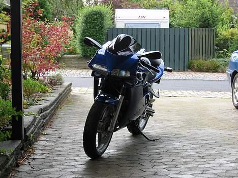 Suzuki SV650 billede 5