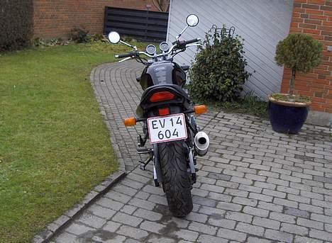 Suzuki GSF 600 N billede 2