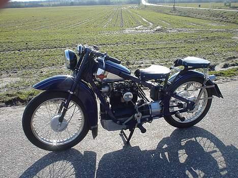 Nimbus humlebi billede 1