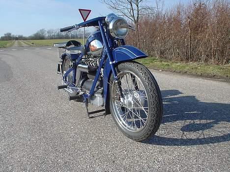 Nimbus humlebi billede 2