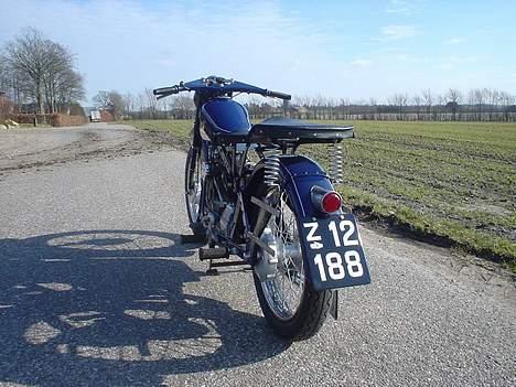 Nimbus humlebi billede 4