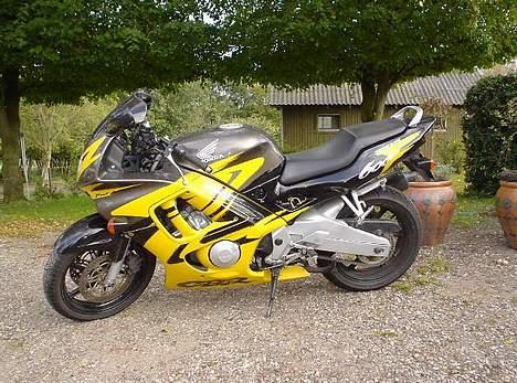 Honda cbr 600 F3 - "zille" klar til endnu en tur i det grønne billede 1
