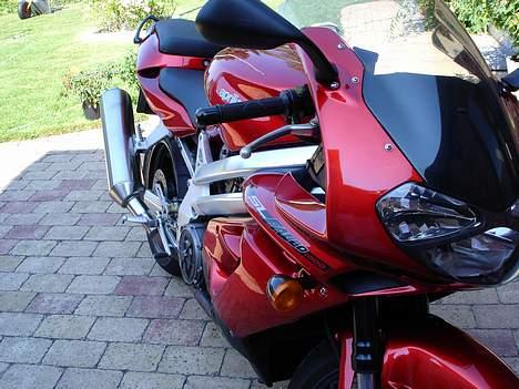 Aprilia Falco (død og genopstået) - Nyvasket på terrassen billede 2