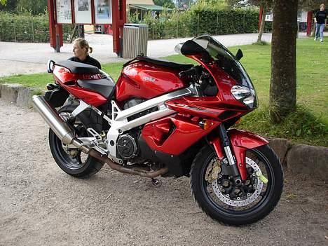 Aprilia Falco (død og genopstået) - Egeskov, Fyn billede 4