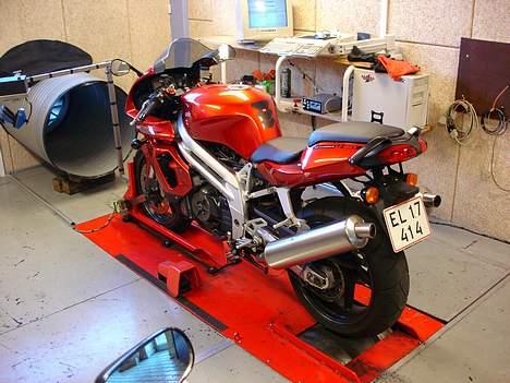 Aprilia Falco (død og genopstået) - På bænken hos CVP i Horsens, 111HK på baghjulet billede 5